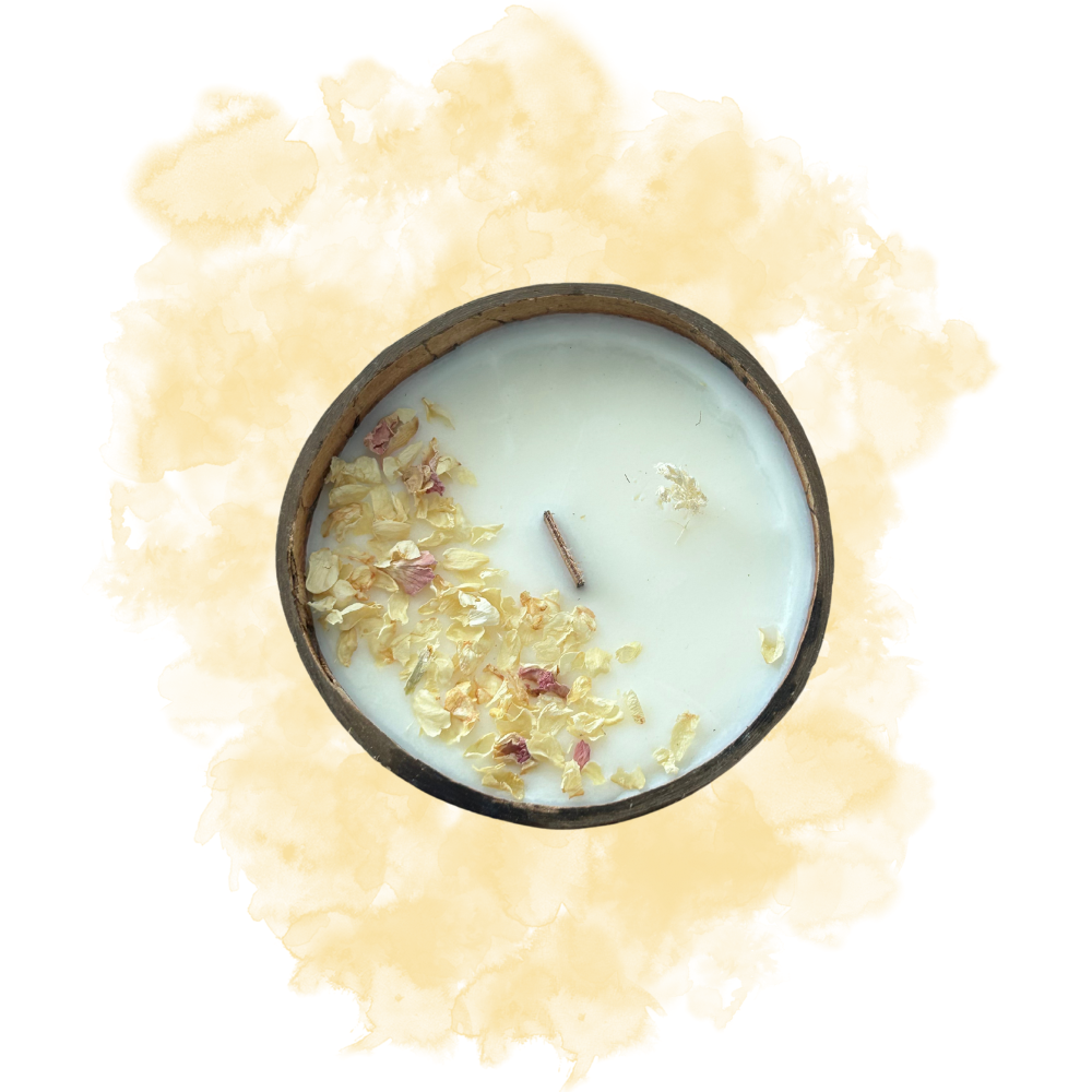 Lotus Coton Blanc